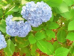 -热田神宫