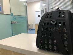 -瑞派·关忠动物医院·异宠专科·犬猫肿瘤·皮肤专科(望京店)