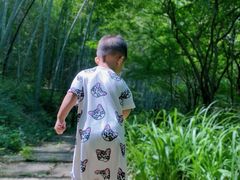 -南山风景名胜区