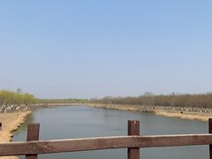 -西青郊野公园