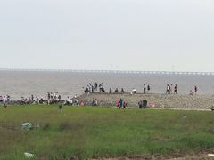 -南汇嘴观海公园