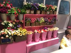 -MINI MARS KIDS CLUB亲子家庭中心(长宁天山店)