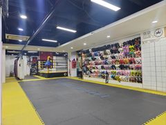 -成泰格斗(环球商业广场店)