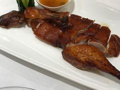 -沪碟·精菜坊(闵行店)