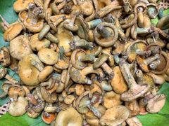 -黔蘑菇四季餐厅(观山湖店)