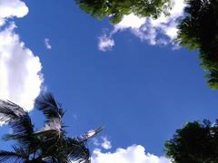 -唐城墙遗址公园