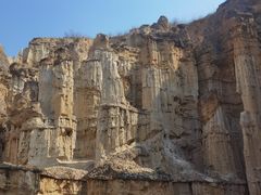 -元谋土林景区(物茂土林)