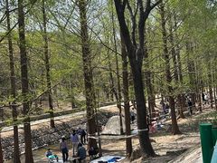 -白水寺森林公园