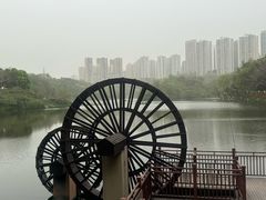 -重庆彩云湖湿地公园