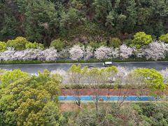 -浔味·山屿湖·正宗全鱼宴老字号