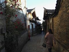 -内涵饵块