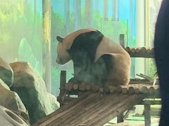 -五龙山野生动物王国