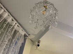 -共舞时光猫咖·狗咖(新街口店)