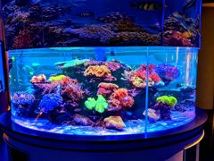 -上和臻品中国菜(花园街店)