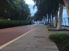 -万绿园