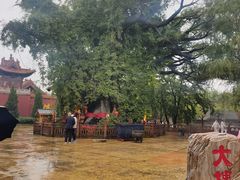 -大槐树寻根祭祖园