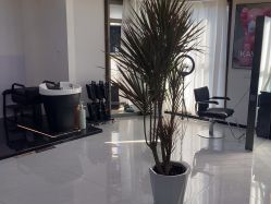 -V7 HAIR SALON