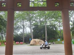 -南宁南湖公园