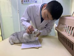 -全心全意连锁动物医院(加州店)