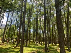 -硗碛藏寨·神木垒景区