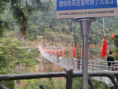 -九龙江国家森林公园