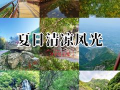 -少华山国家森林公园