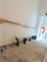 -海涛医疗美容·面部抗衰·注射美鼻