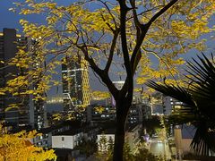-鸿山公园