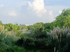 -九里河湿地公园