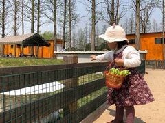 -前小桔亲子创意农场·草莓采摘·露营烧烤