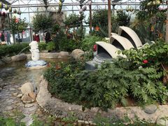 景点-南宫五洲植物乐园