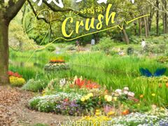 -上海共青森林公园