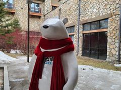 -长白山万达喜来登度假酒店