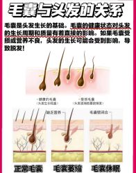 -Bollins波林丝•专研护发中心