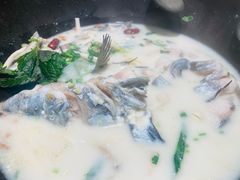 -鲜潭蒸汽石锅鱼(五道口购物中心店)