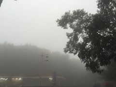 -普陀山佛顶山索道