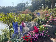 -东莞植物园