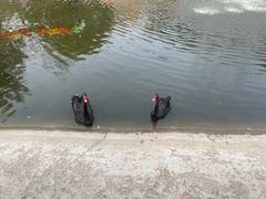 -北京鹿世界主题园