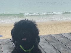 -西涌国际滨海旅游区