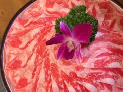 -大龙燚火锅(南山大道店)