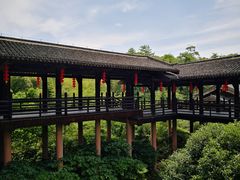 -大唐贡茶院