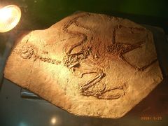 景点-百里山水画廊