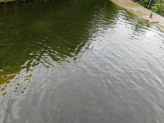 -沣峪口