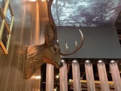 -haxnbauer海森堡德国餐厅(深圳coco店)