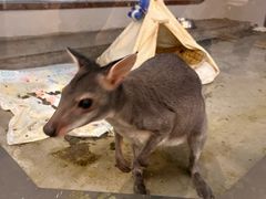 -优伢仕口腔(汽车西站店)