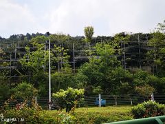 -东山风景区(洞庭东山)