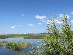 -呼兰河口湿地公园