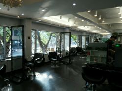 -维卡 Salon