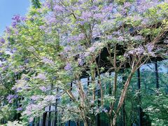 -重庆中央公园(渝北区)