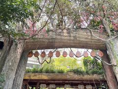 -西双版纳原始森林公园